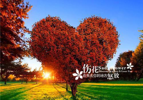 香辣食物能促进感冒变好？