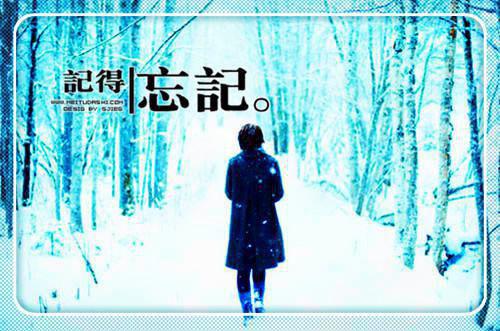 玉兰花的药用价值