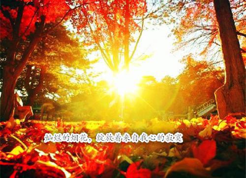 “饥餐渴饮”不利健康