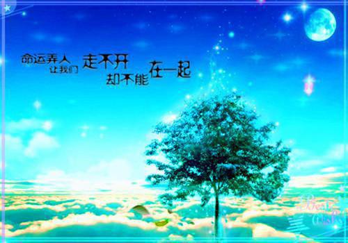 常见营养问题答疑