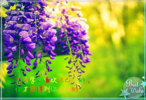 宝宝必需五类营养素，这里都有