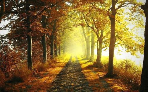 不同职业吃不同水果 你吃哪种？