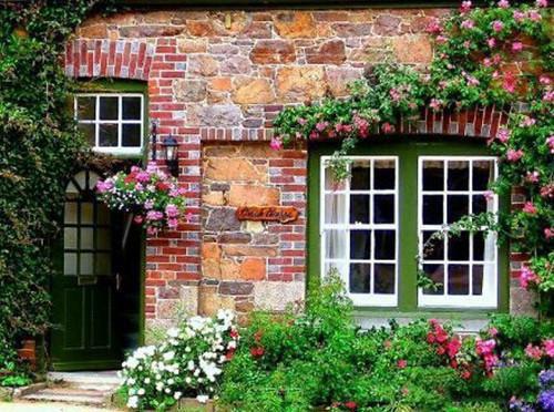 木瓜14大营养吃法