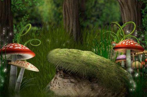 “中药零食”怎样吃才养胃