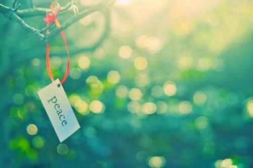 预防人流后不孕该吃什么