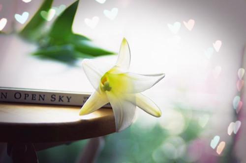 脾虚吃什么好 四款养生食谱赶走脾虚