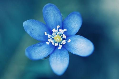 教您几款餐桌上的防病菜谱