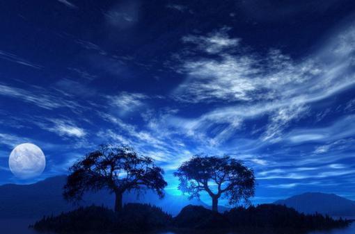 花菜的几个食疗方法