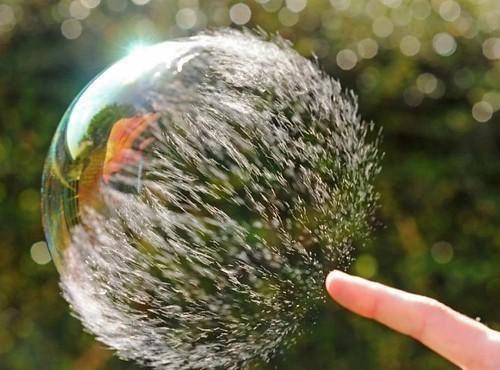 鱼籽营养价值剖析