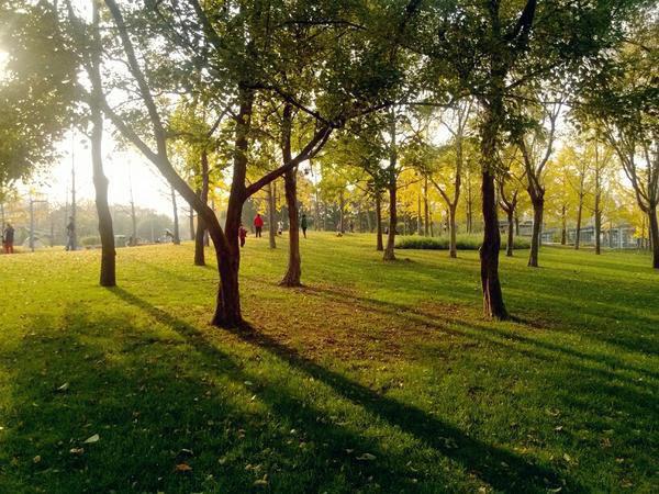 吃黑豆食疗方帮你养肾又养胃