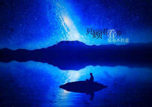 柳树全身都是宝