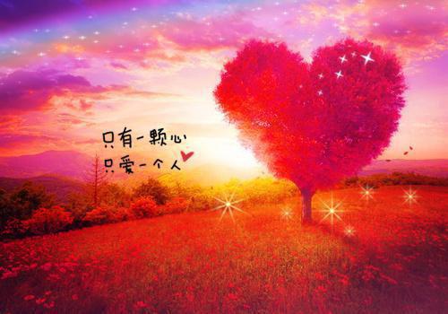 血糯米营养价值剖析