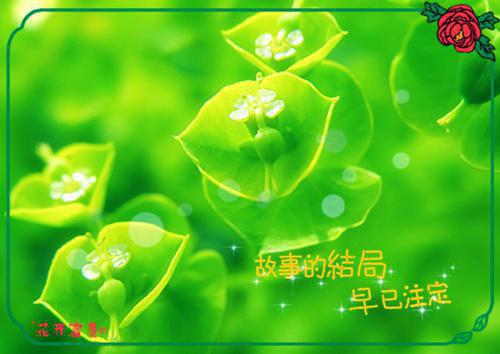 7种补脑食物 春季健脑的秘密武器