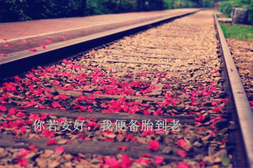 冬吃萝卜胜良药