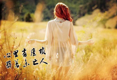 夏季喝花茶减肥，效果更好