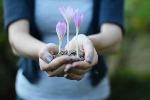 西红柿芥蓝搭配可抗癌