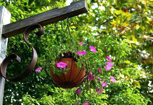 食补更健康！简单安全有效丰胸高招