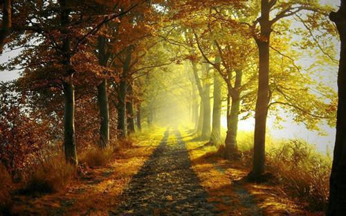 6道食谱降血脂，简单就平价