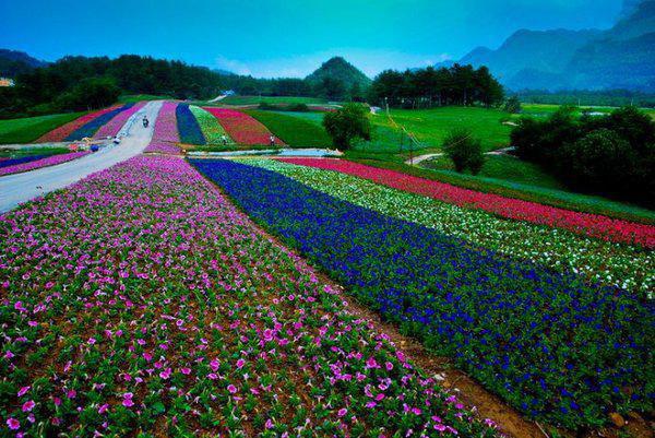 防乳腺癌的食物大全