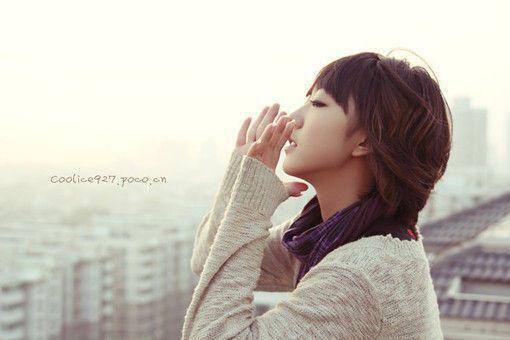 败酱（苦菜）的药用价值