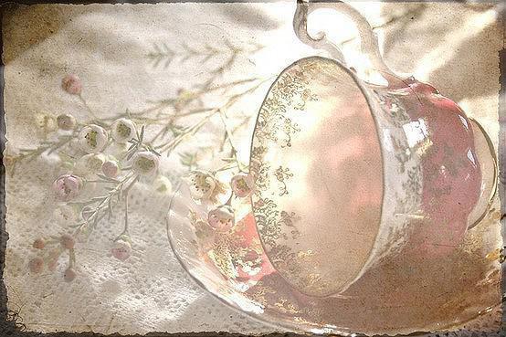 红豆蔻的药用价值