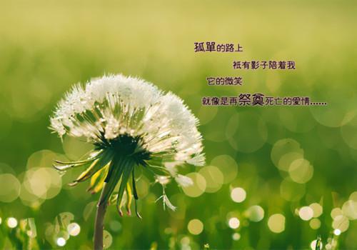 25岁后，一定要给肌肤补充胶原蛋白！