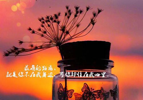 适合女性备孕的食物有哪些？