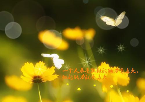 芒种时节饮食小贴士