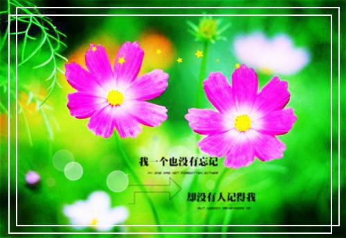 冬季养生十种菜 小白菜通畅利胃