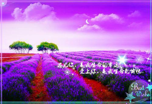 7天滋补暖身 7道冬季养生汤