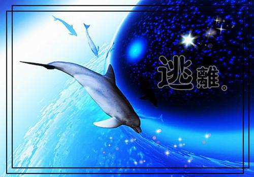 墨鱼食疗让女人更女人