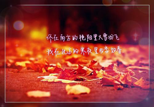 皮肤干燥 吃这些食物来润肤