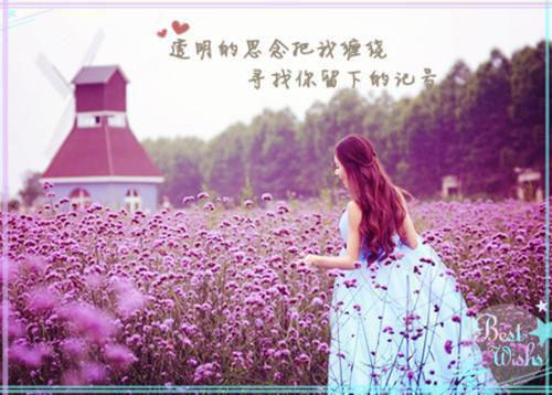 胃痛关节痛 吃这些食物缓解身体疼痛