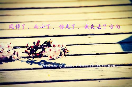 女人随手可得的补血食物