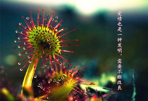 冬天易胃寒，养生粥喝起来