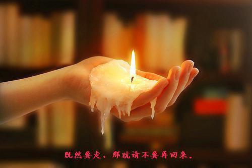 山药的禁忌人群与功效