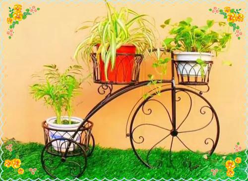 补肾抗衰吃黑豆 黑豆的几款创意吃法