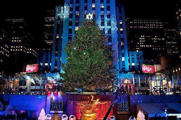 骨质增生食疗方案，缓解关节疼