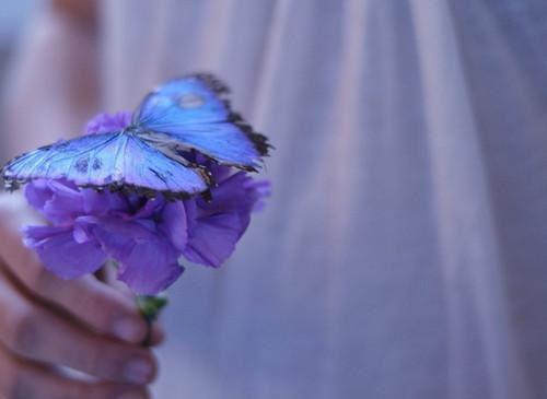 水果也是补血利器  5种水果养颜又补血