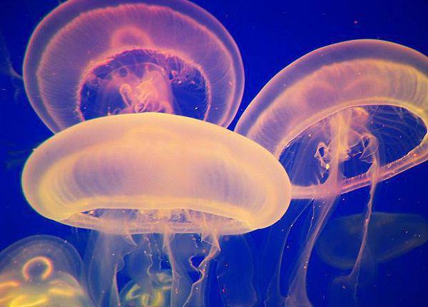 竟然超过七成宝宝都缺钙 科学补钙很重要