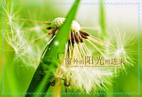 宝宝吃鱼有讲究 7种鱼不能吃