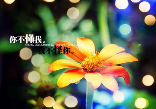 五道美味菜 吃出高个子的宝宝