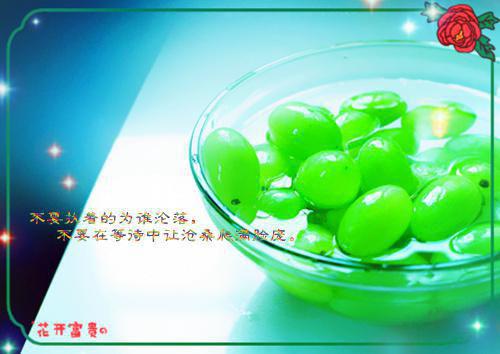 洋甘菊排毒瘦身功效大