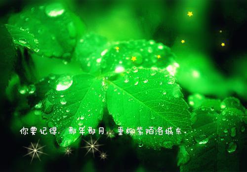 酷暑难当 三款冰粥开胃消暑