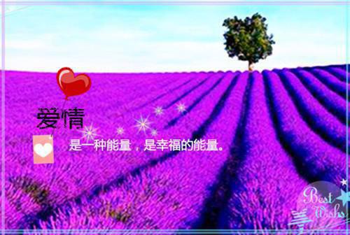 孕妇吃什么水果对身体好