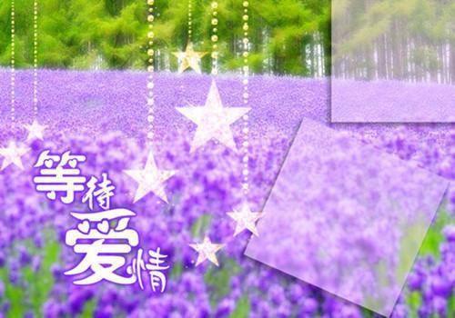 蔬菜减肥排行榜