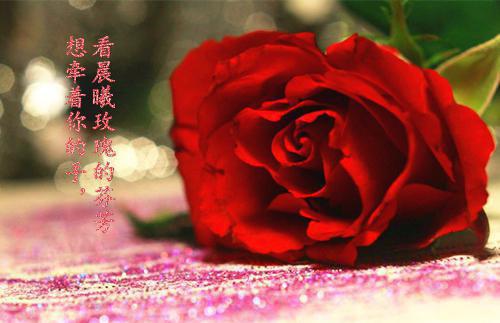 准妈妈孕期营养逐月补