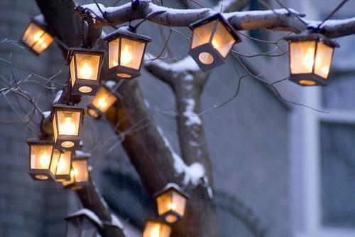 大蒜的7大营养功效盘点