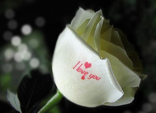 宫寒女性不用怕 3种食谱就能解决