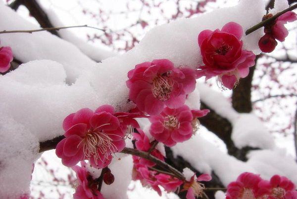 秋季养生重在养阴 益肺保健康